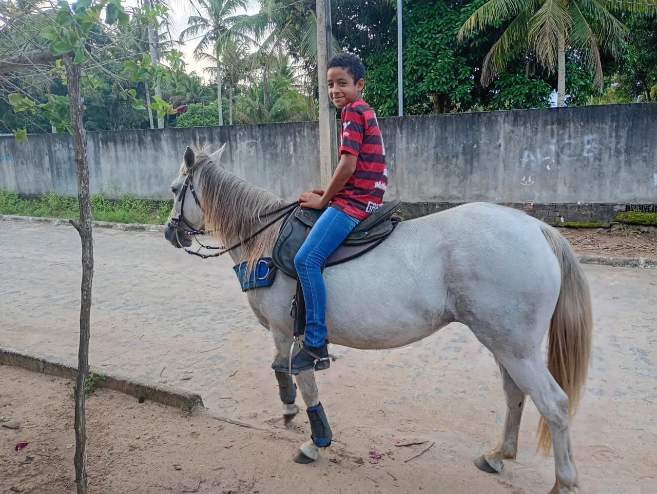 Égua de esteira  - Foto 5