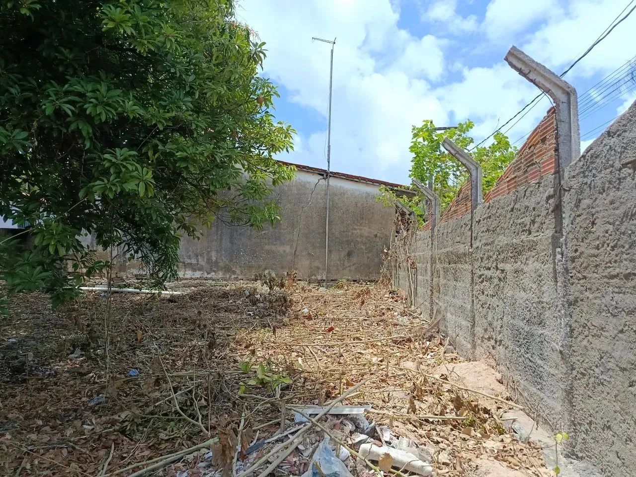 lote terreno - Foto 2