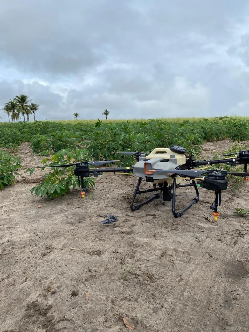 DRONE DJI AGRAS T1064313660244482120