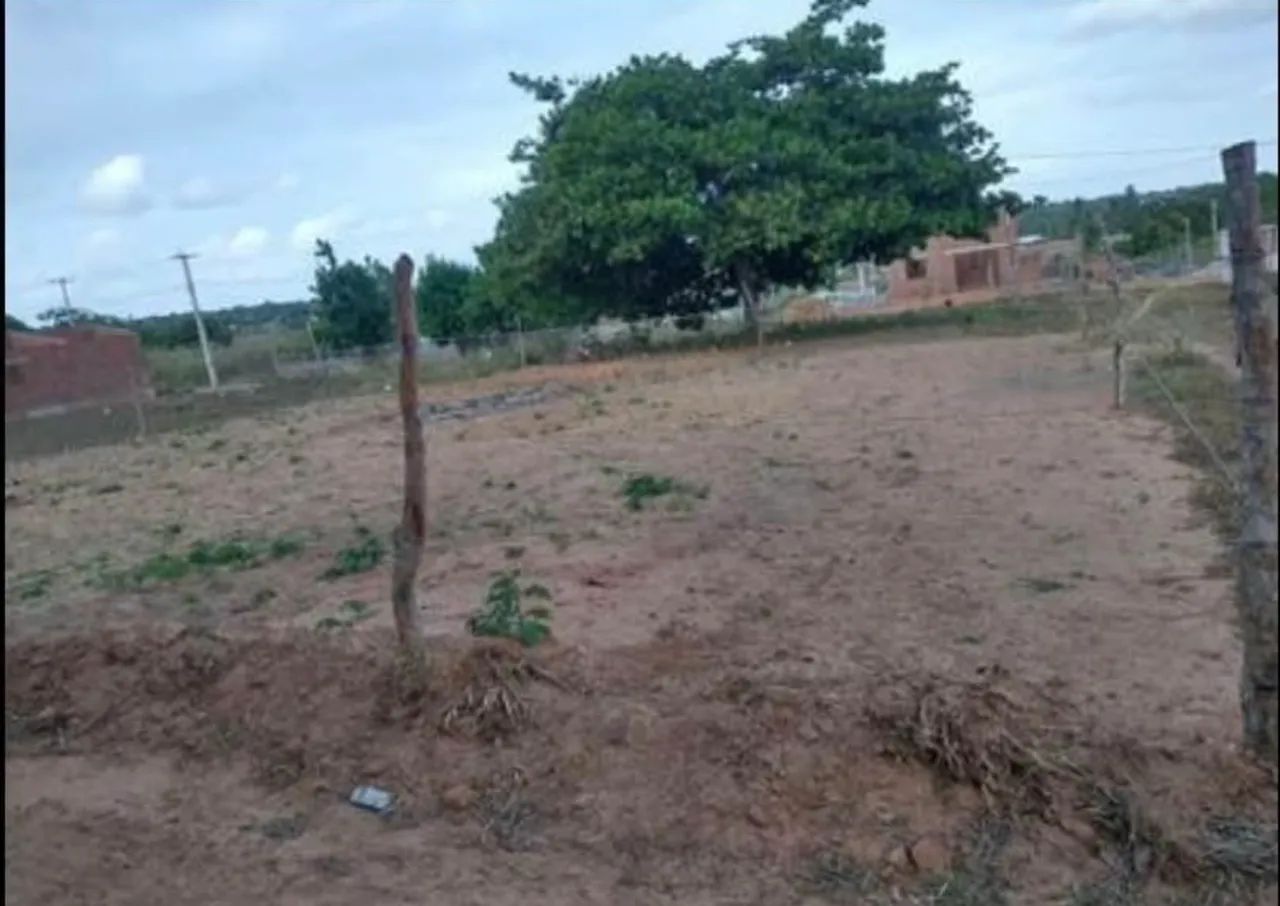 Terreno em Pureza/RN - Foto 3