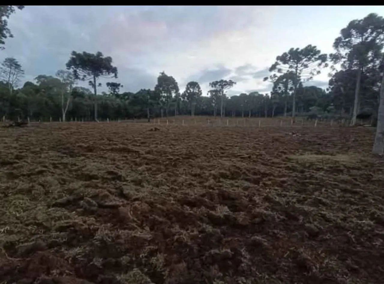Vendo sítio na Lapa PR  - Foto 4