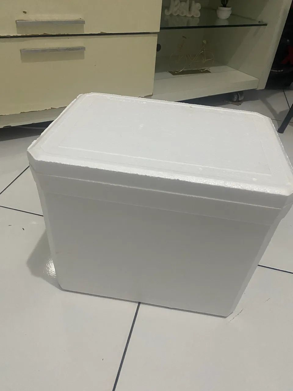 Caixa de isopor  - Foto 2