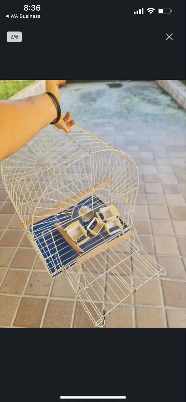 Gaiola pássaro  - Foto 3