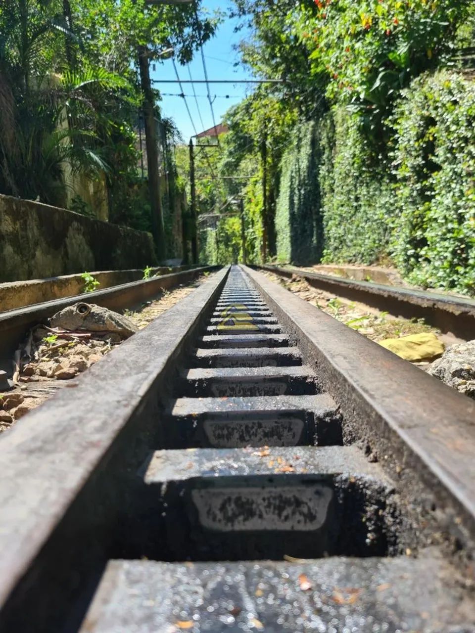 Cosme Velho | Terreno - Foto 2