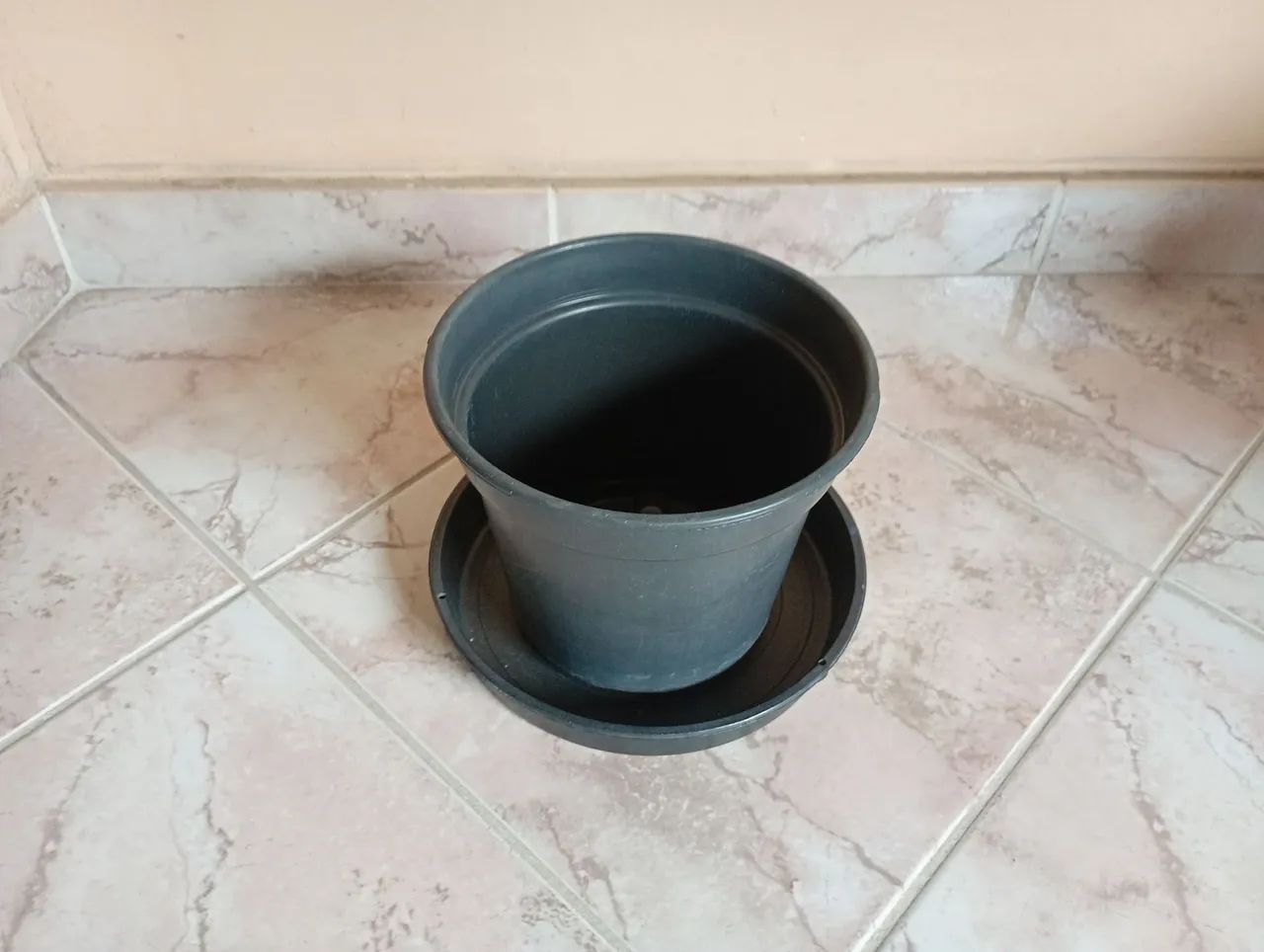 Vaso - Foto 2