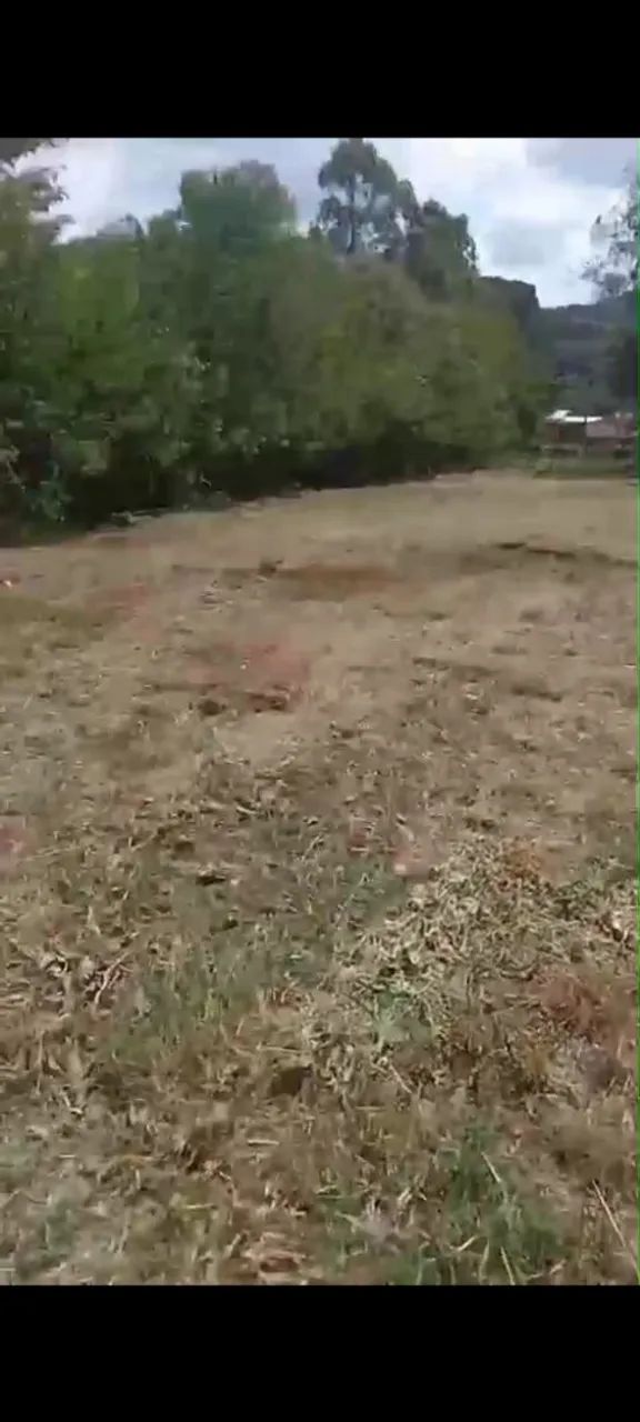 Excelente chácara plana  em ITATIAIUÇU/MG - Foto 3