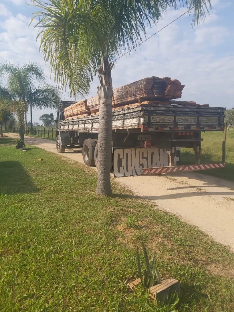 TÁBUA DE EUCALIPTO - Foto 4
