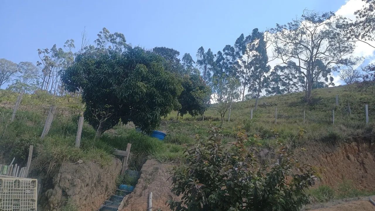TERRENO EM NATIVIDADE DA SERRA -SP - Foto 4