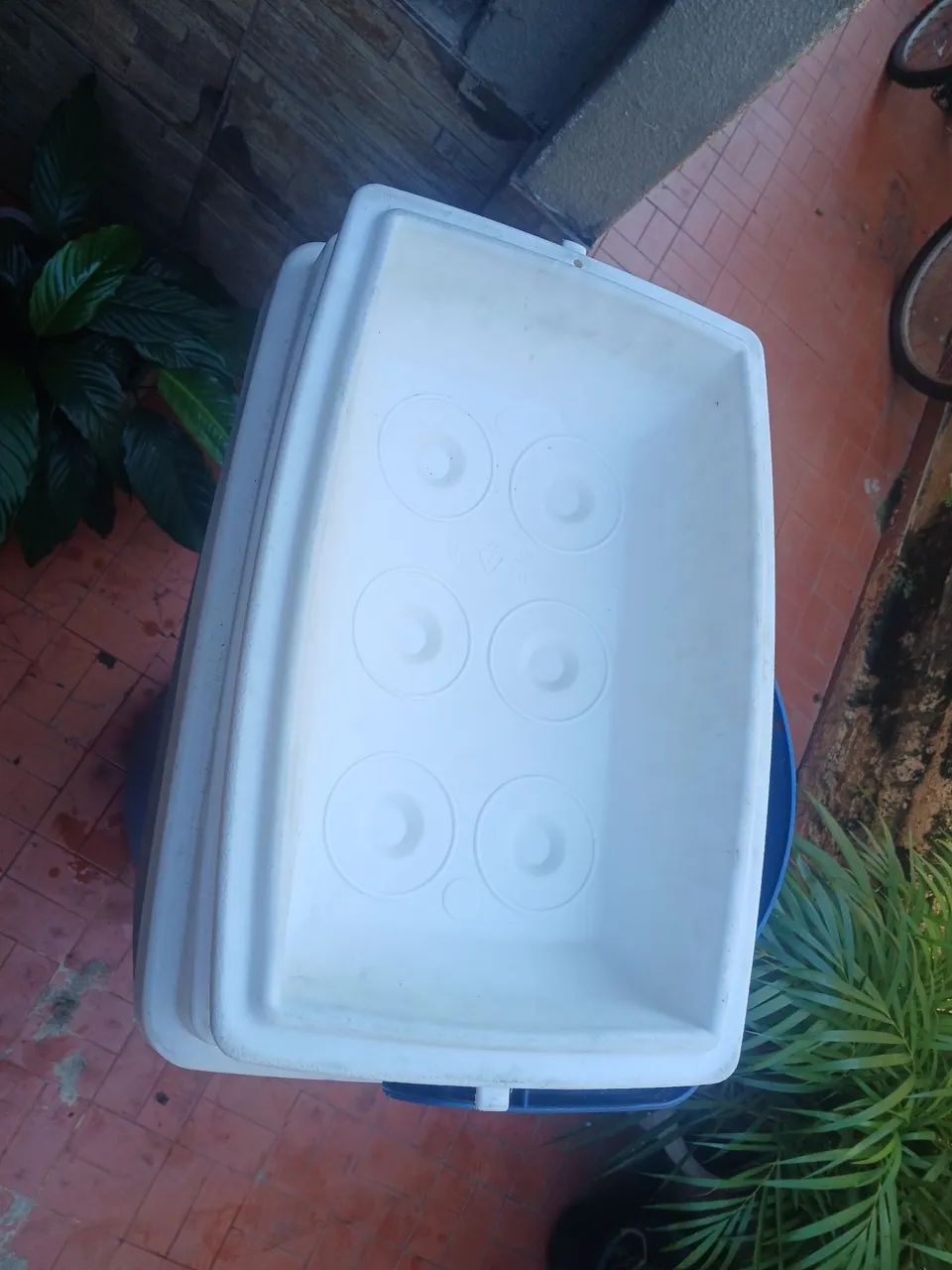 cooler 32 litros - Foto 3