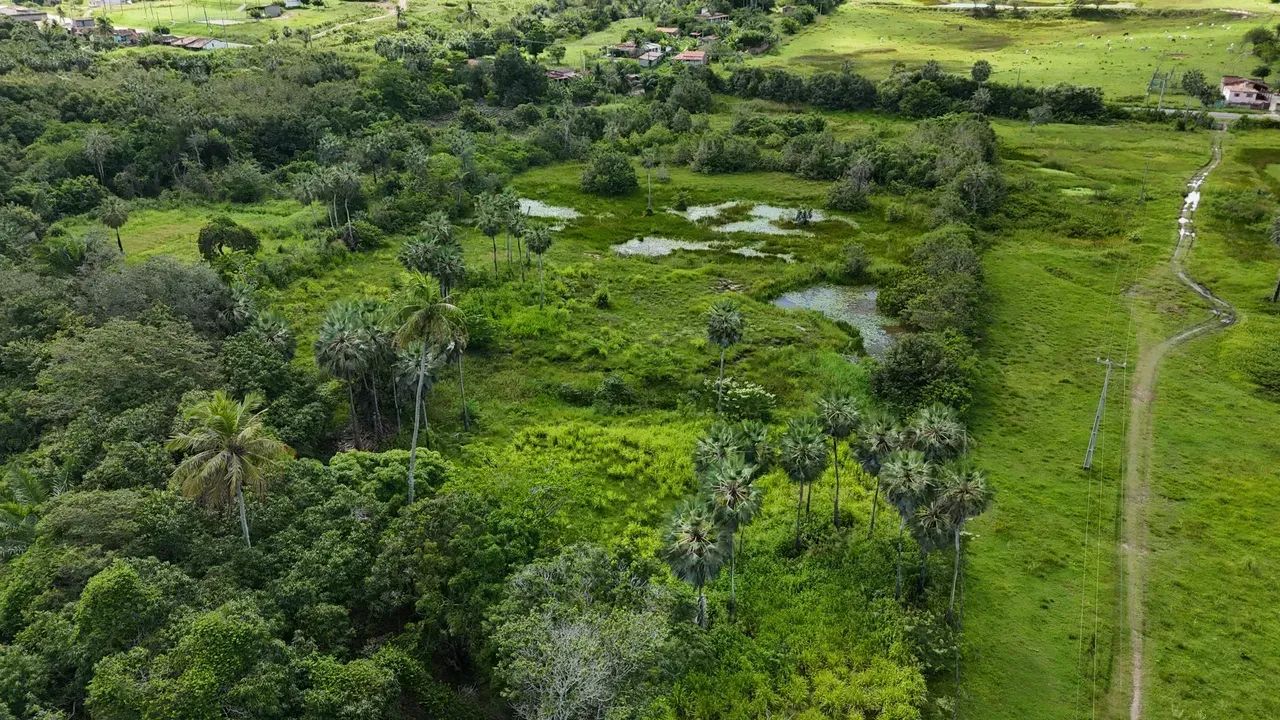 granja com 12.5 hectares plantada e com rio perene e com poço tubular na grande natal