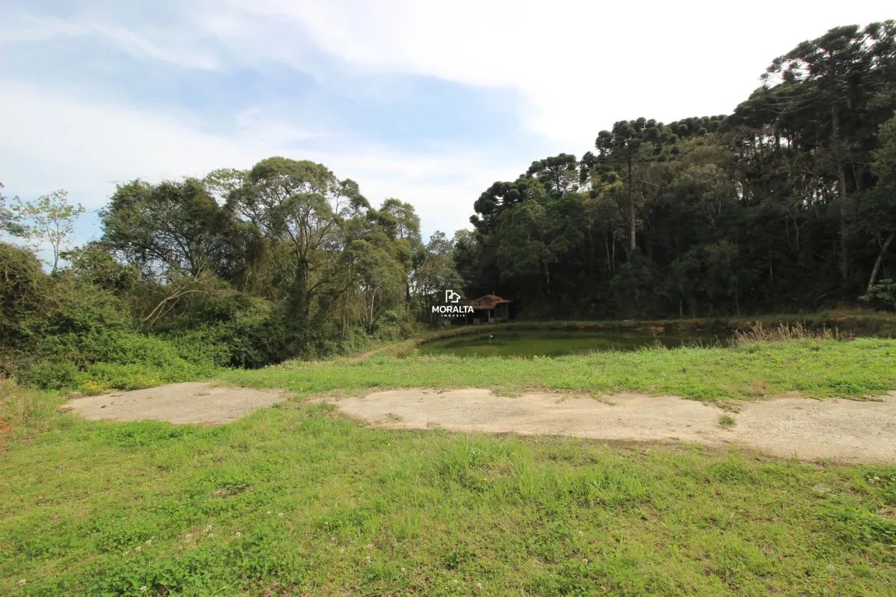 Chácara com 21.000m² na Murici - Foto 2