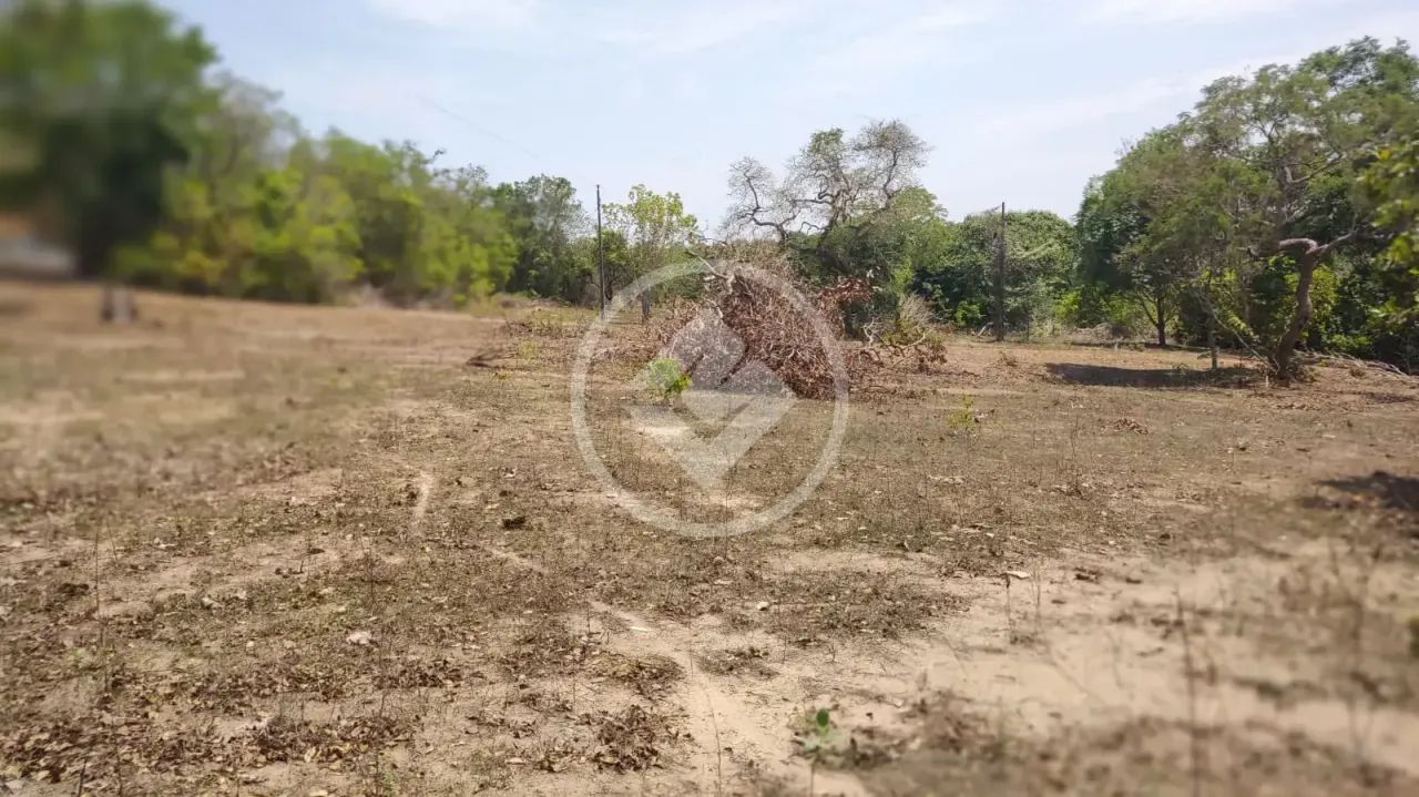 Excelente fazenda com dupla aptidão, a 14 km do munícipio de Colinas do Tocantins! codigo: - Foto 2