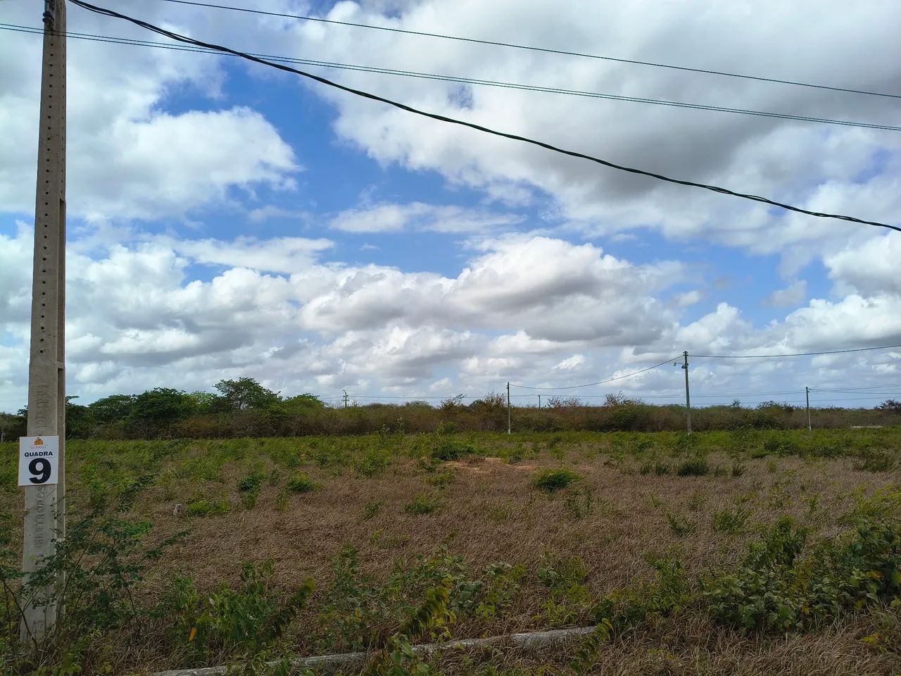 Vendo terreno em trairi - Foto 3