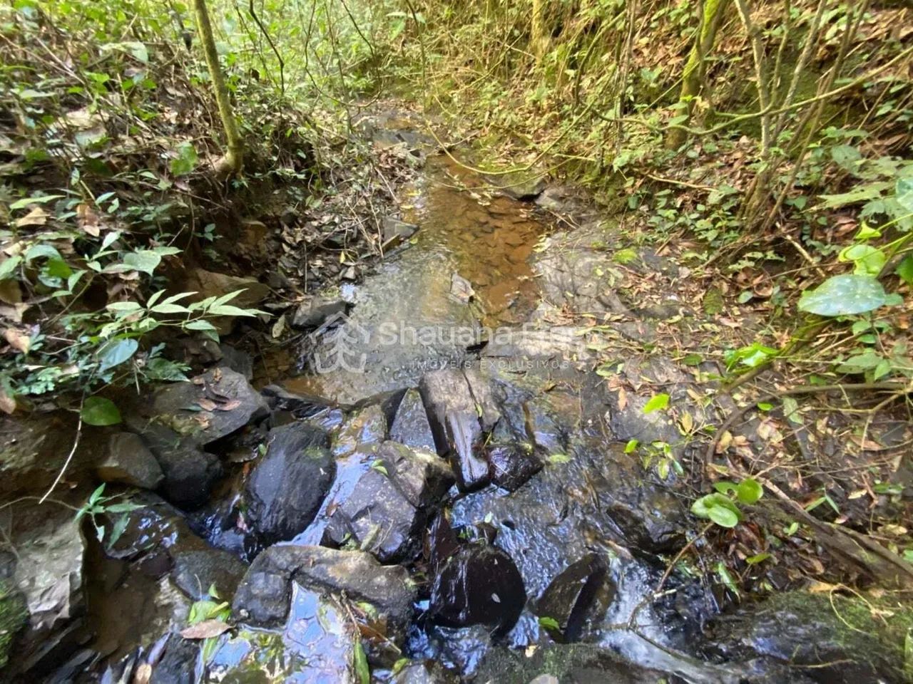 Terreno rural - Foto 4