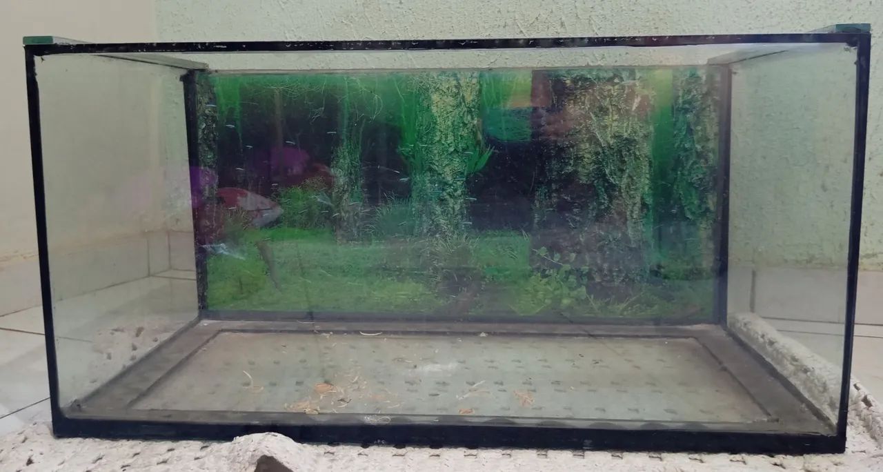 Vendo Vidro de aquário 