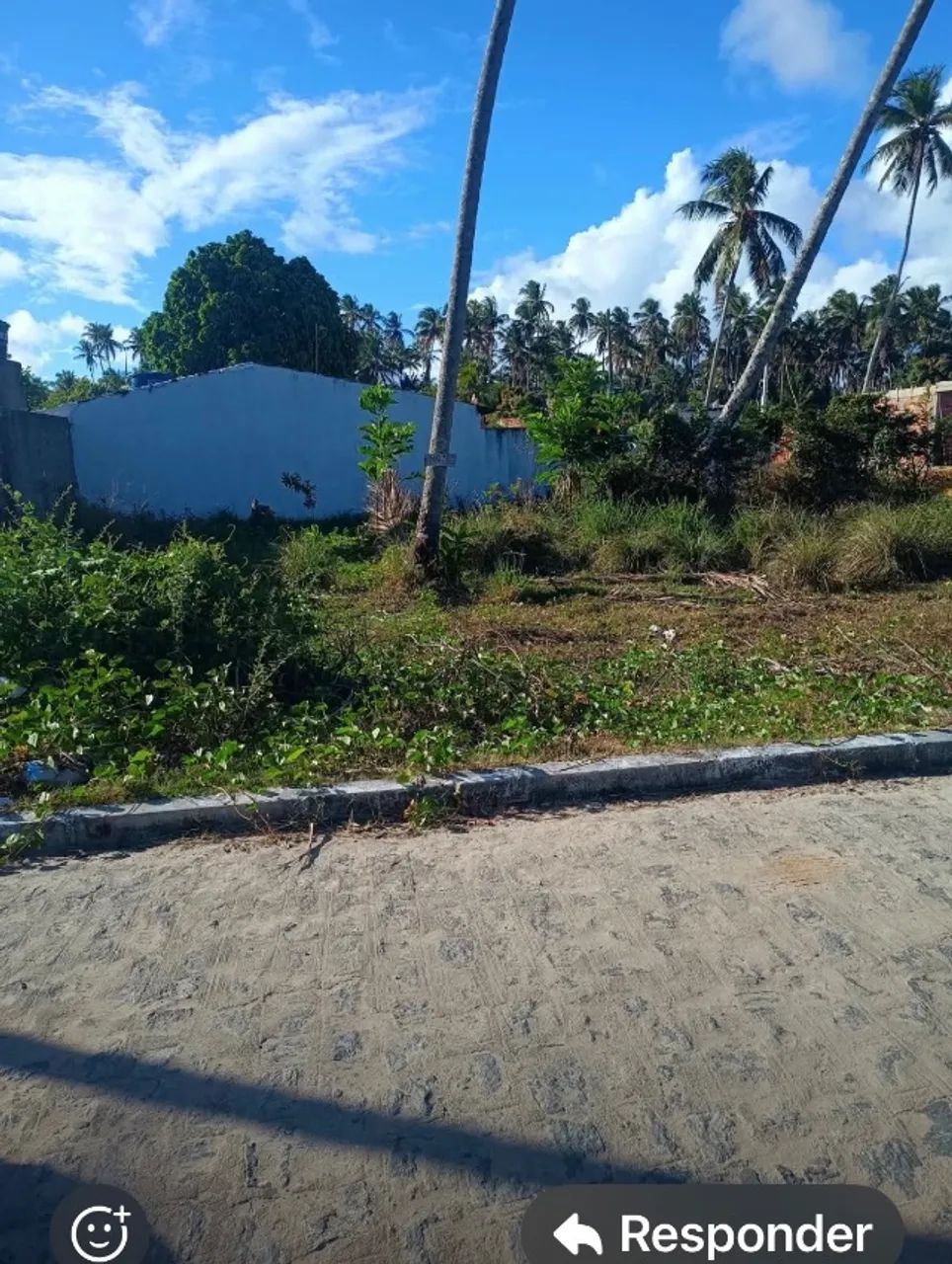 Terreno em Riacho do Velho 10x20 - Foto 4