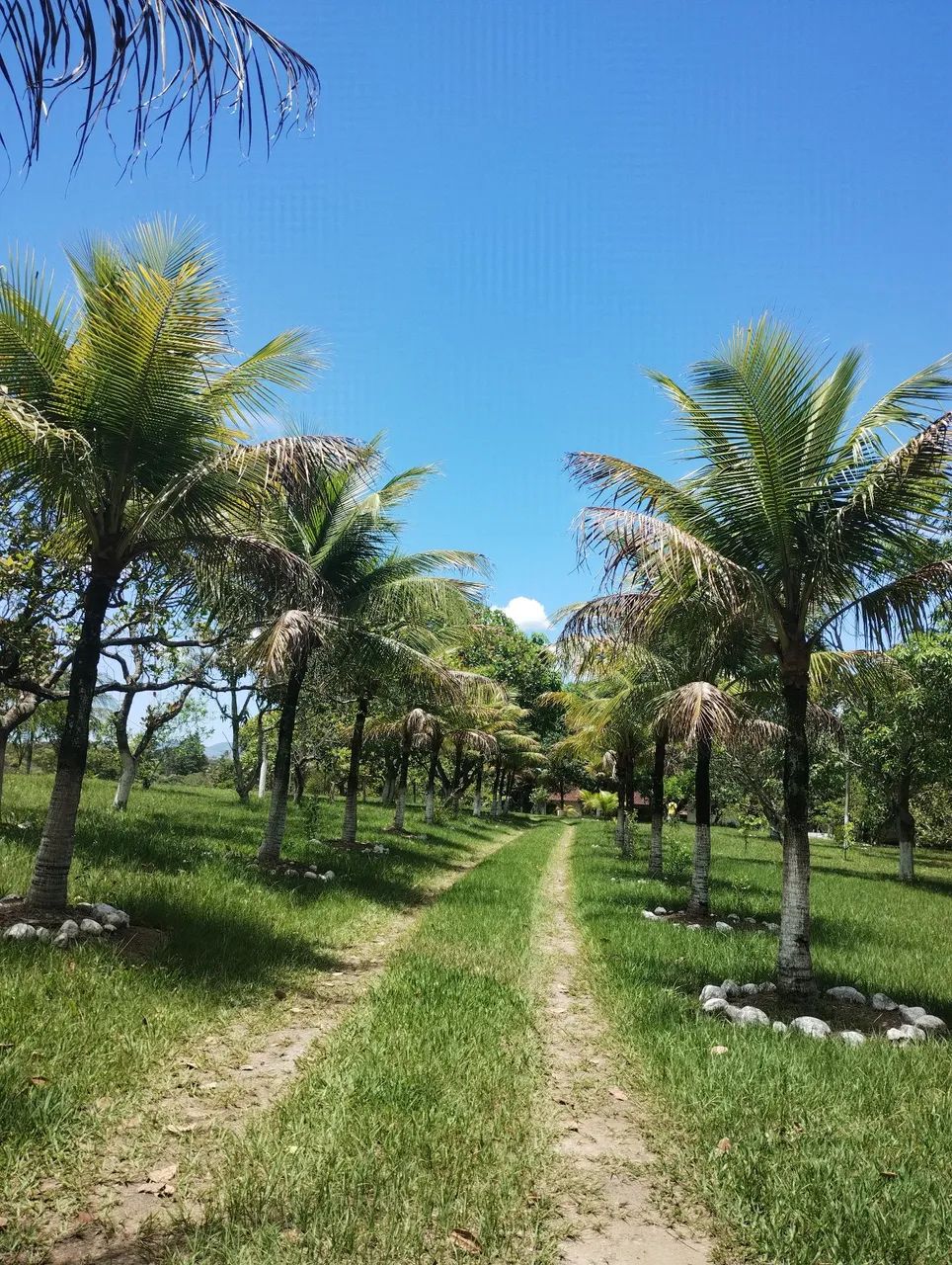 Foto - Itaboraí - Areal