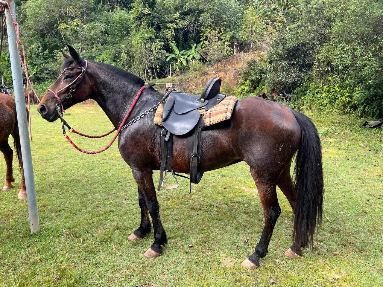 Vende se  - Foto 2