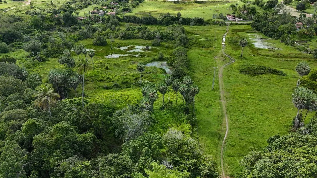 granja com 12.5 hectares plantada e com rio perene e com poço tubular na grande natal - Foto 5