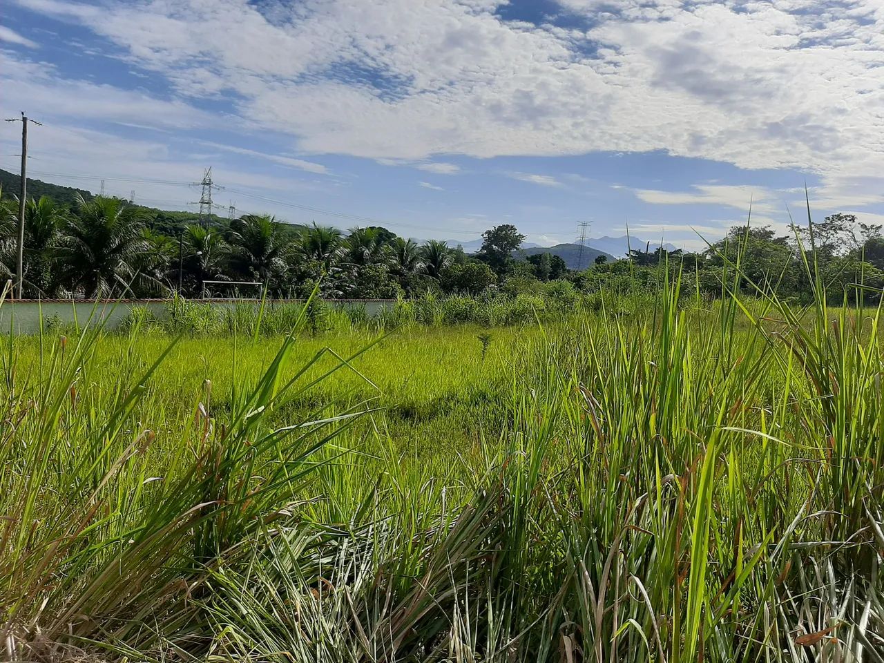 VENDO SÍTIO - CAMPO ALEGRE, NOVA IGUAÇU - Aceito propostas <br> - Foto 5