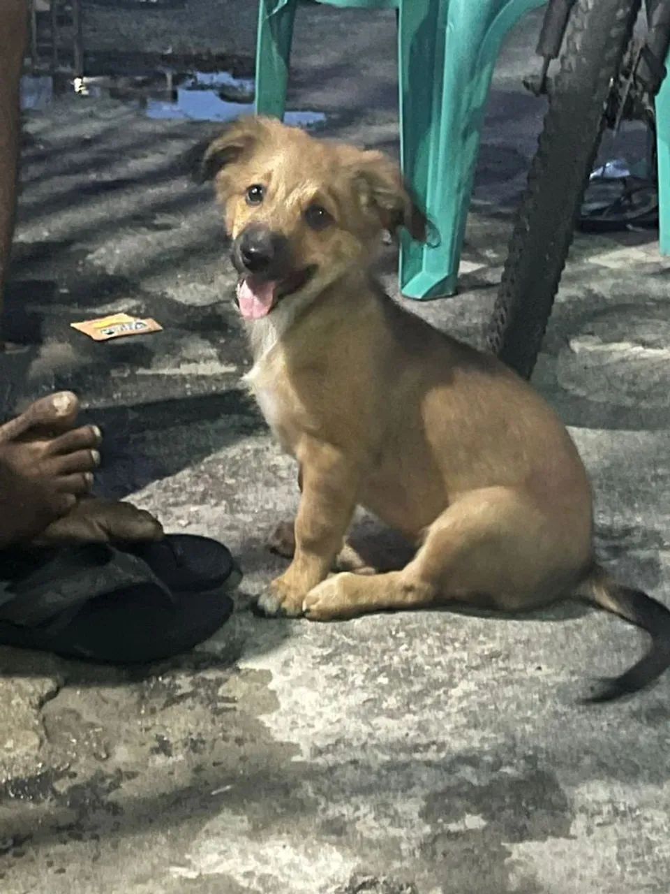 Doação 