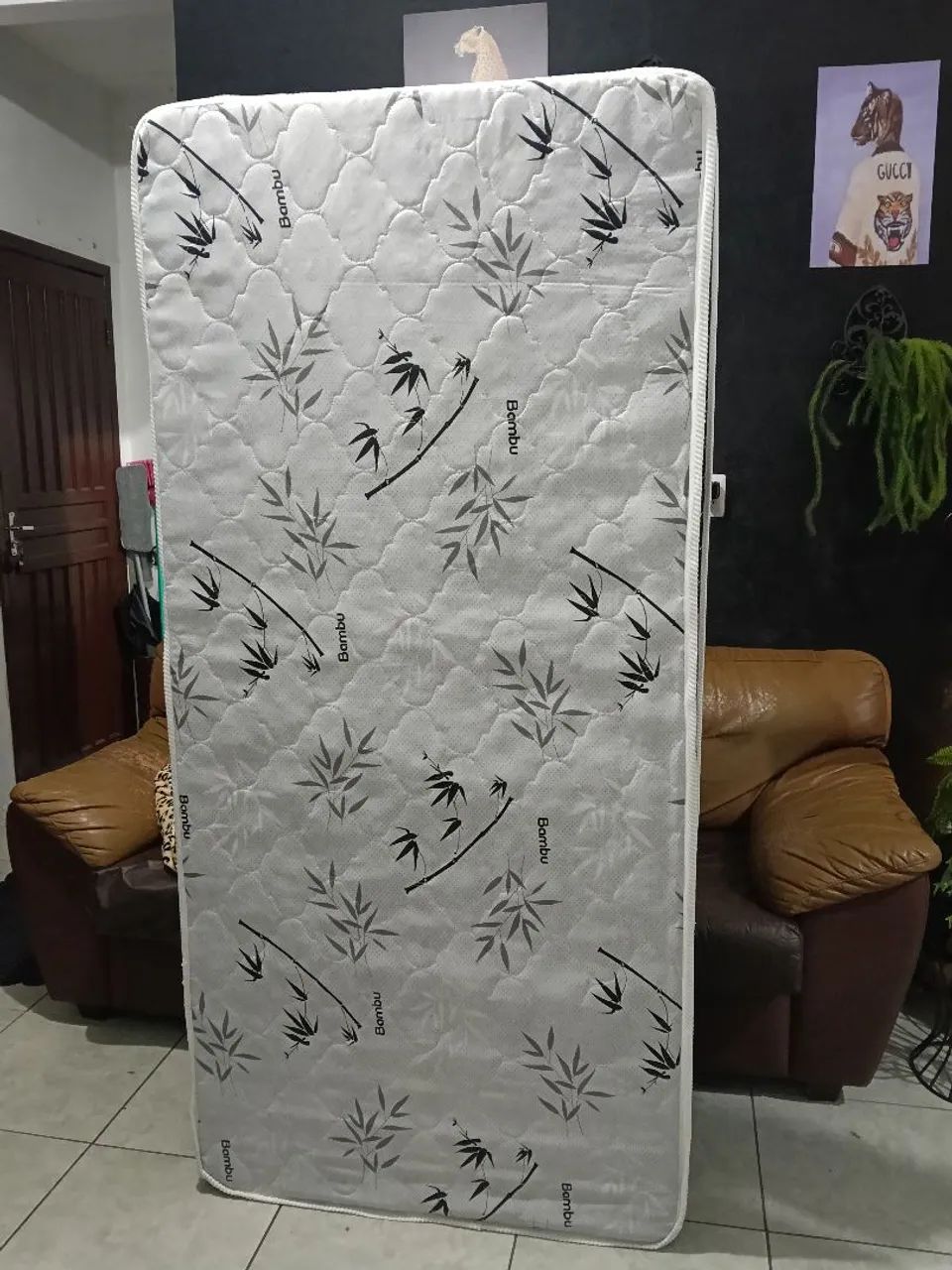 Cama conjugada