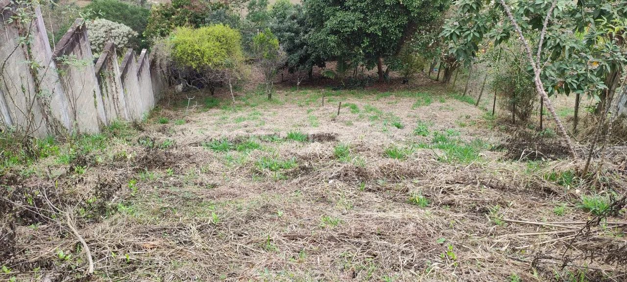 Terreno localizado no bairro Santa Maria - Foto 4