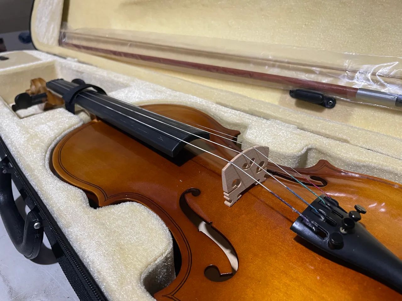 Violino 
