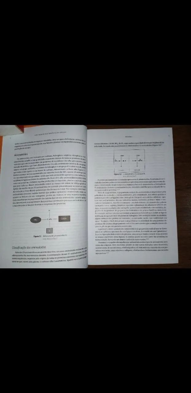 Bases bioquímicas e fisiológicas da nutrição  - Silvia Cizzolino - Foto 6