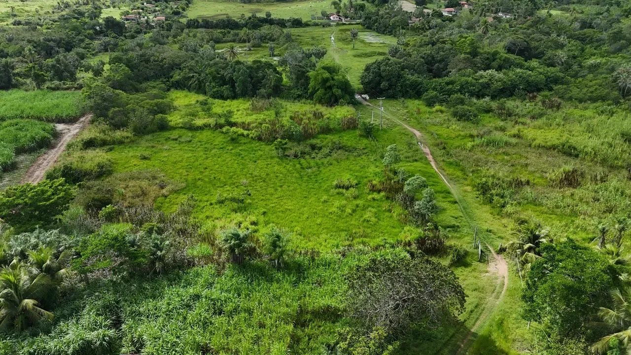 granja com 12.5 hectares plantada e com rio perene e com poço tubular na grande natal - Foto 4