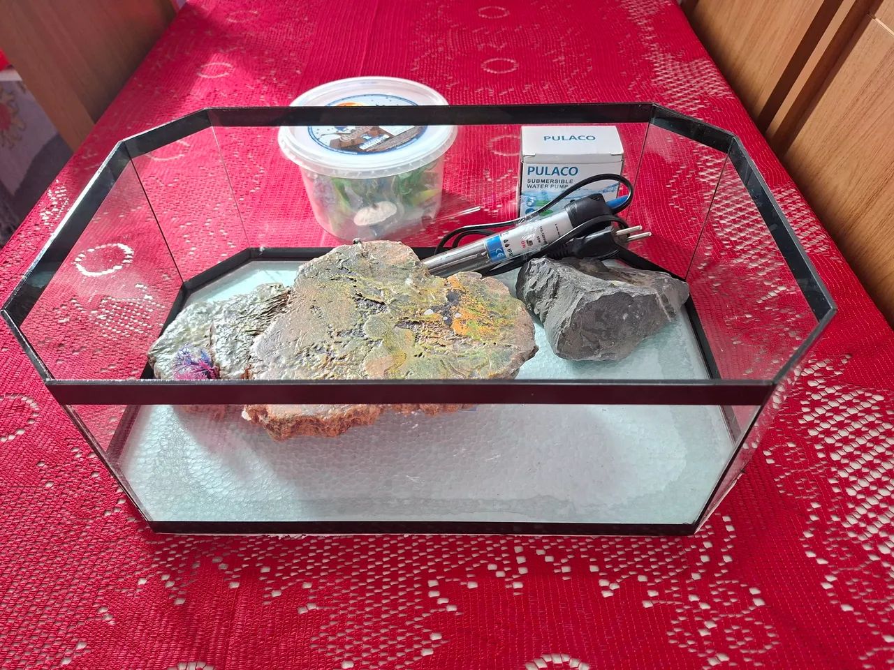 Aquaterrarium completo - Foto 4
