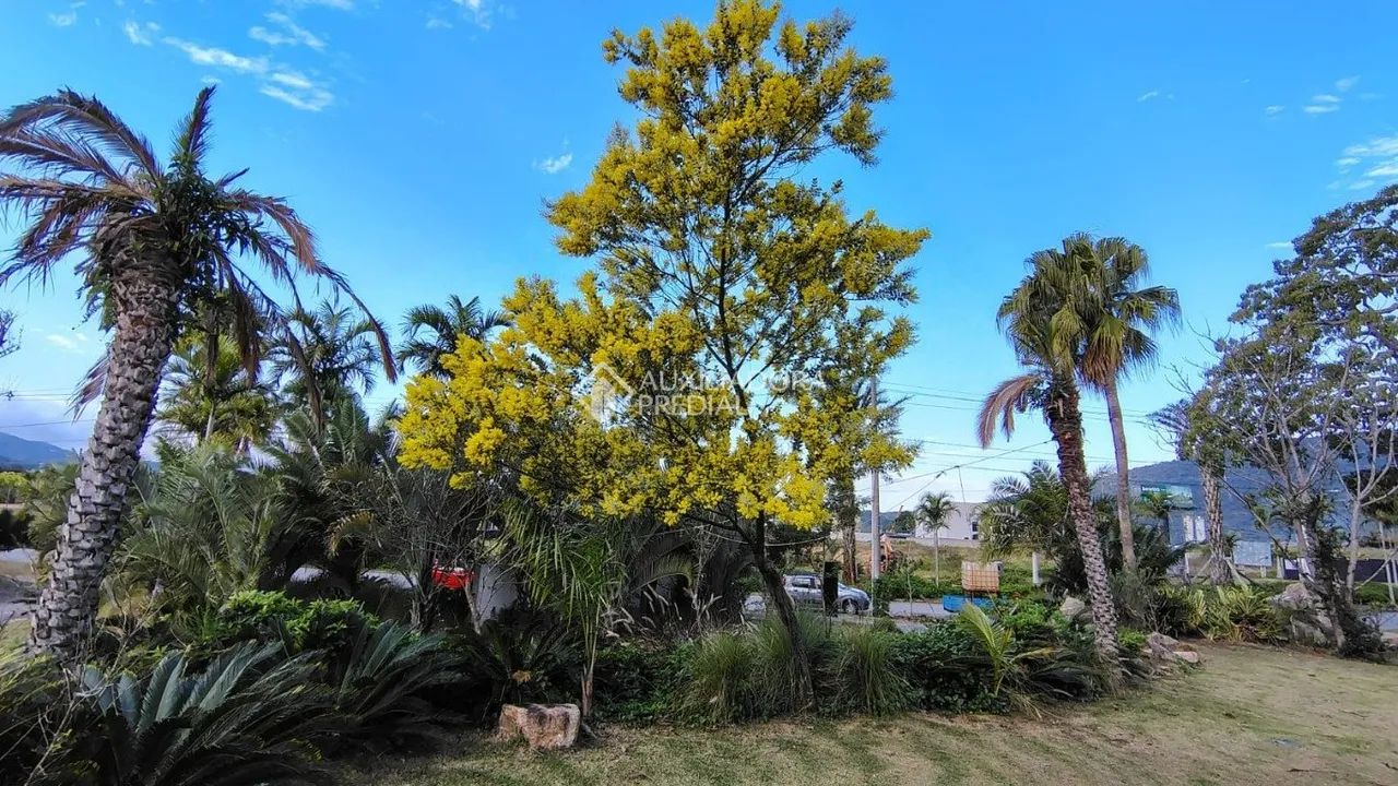 Terreno à venda em Vargem Grande com 450 m² - Excelente oportunidade! - Foto 2
