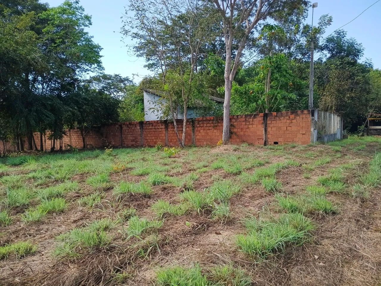 Terreno 