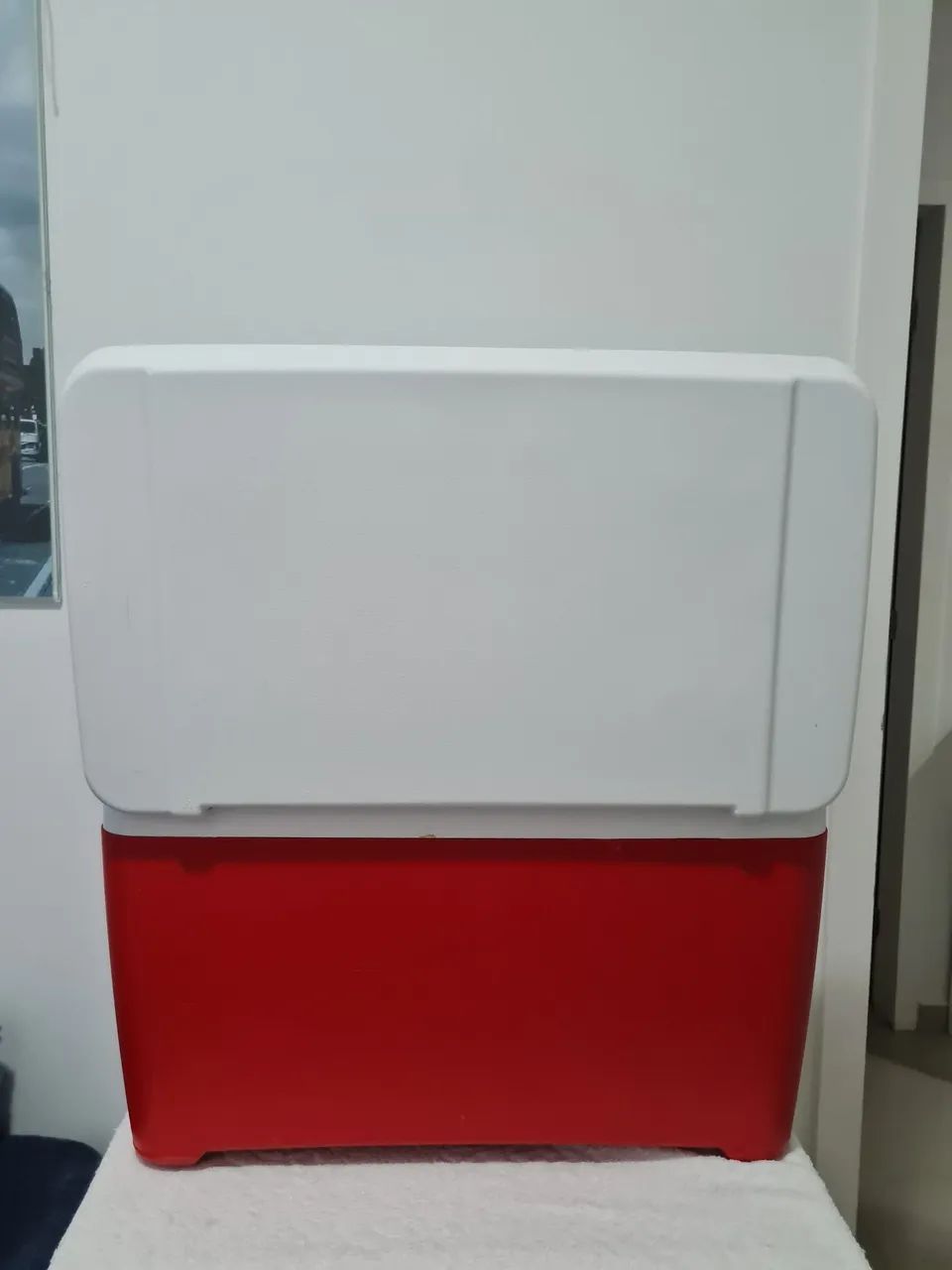 Caixa Térmica 48L - Foto 4