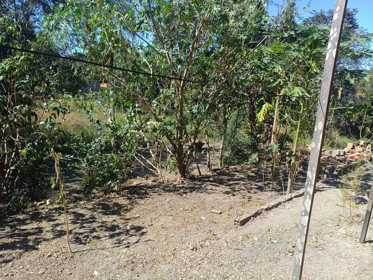 Chacara na usina do rochedo  - Foto 3