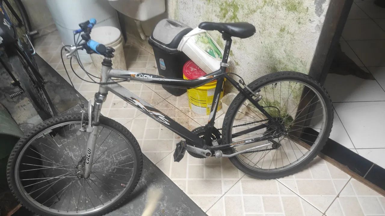 Bicicleta 