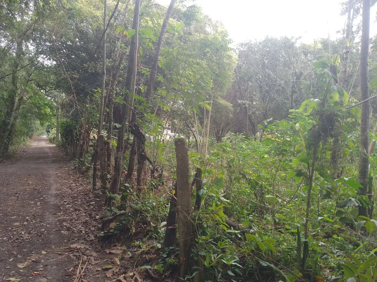 Vendo sítio Itaguaí rj
