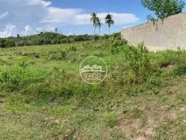 Fazenda à venda com 10 quartos no Centro/Canapi - Foto 5