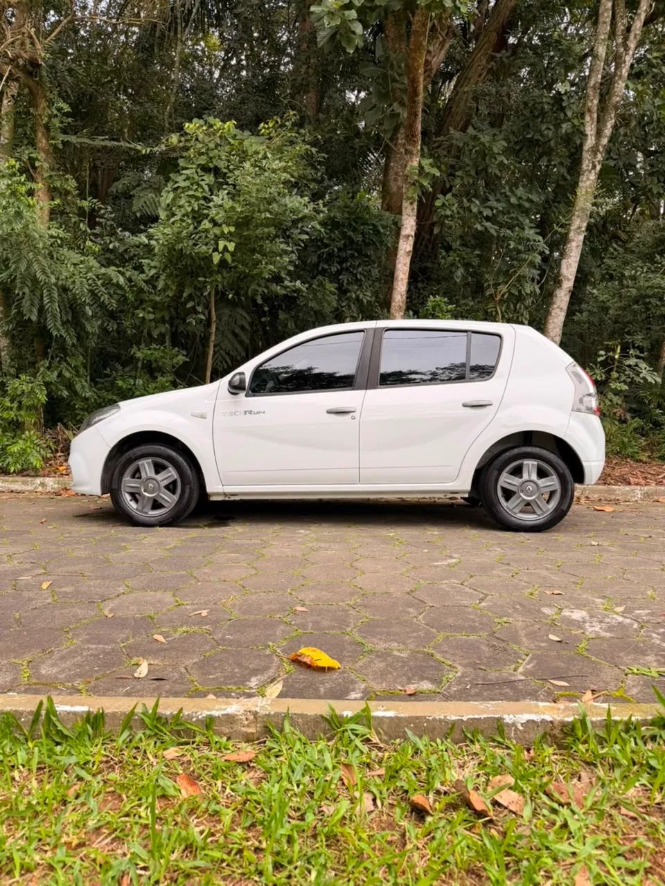 Renault Sandero Techrun Hi-flex 1.0 16V 5P 2014