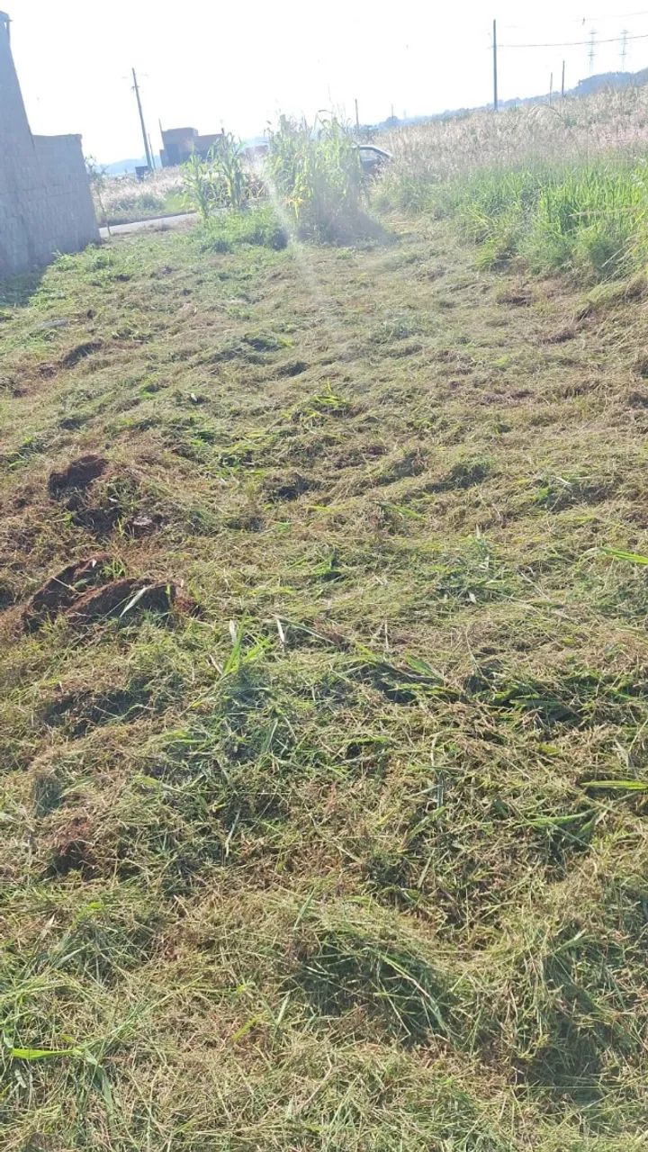 Terreno - Foto 3