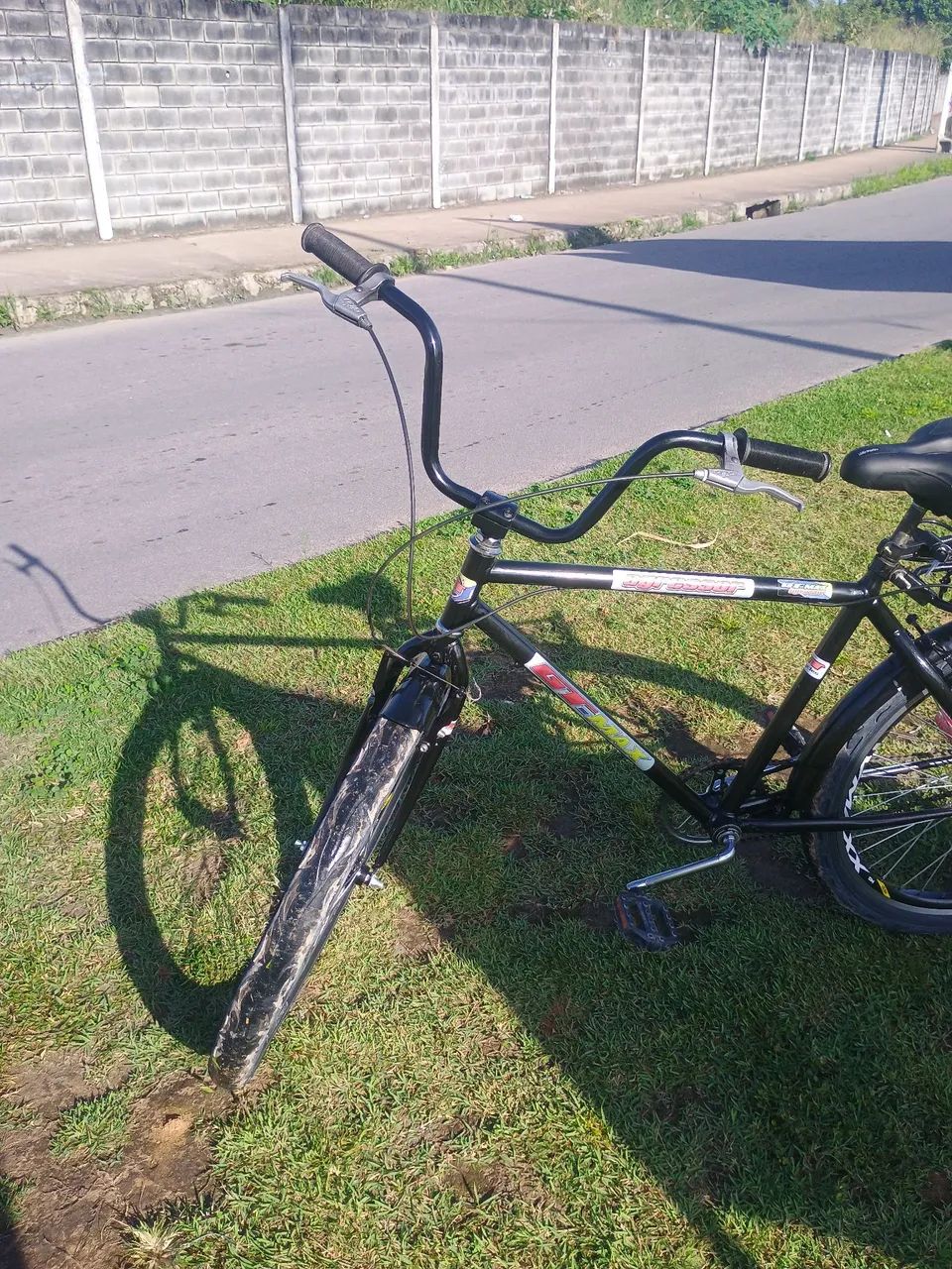 Bicicleta safari  - Foto 3