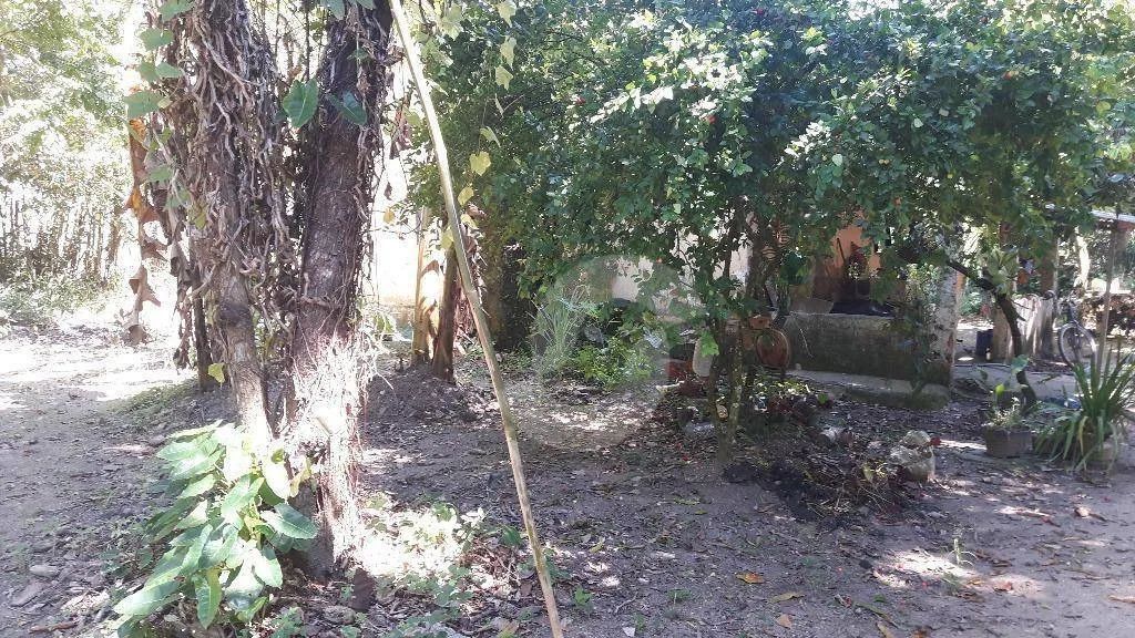 Ótimo Sítio com Imenso Terreno em Várzea das moças, - Foto 5