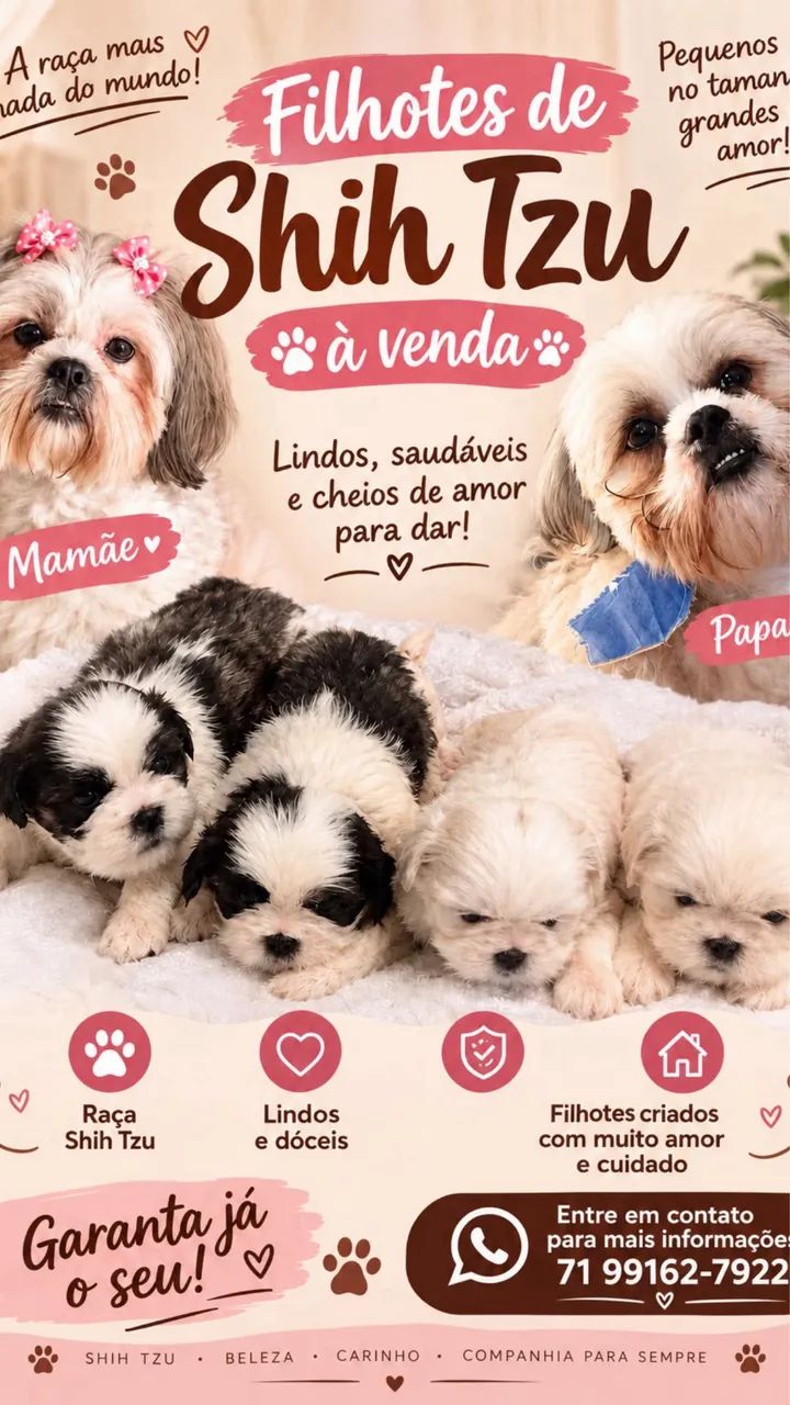 Cachorrinhos 