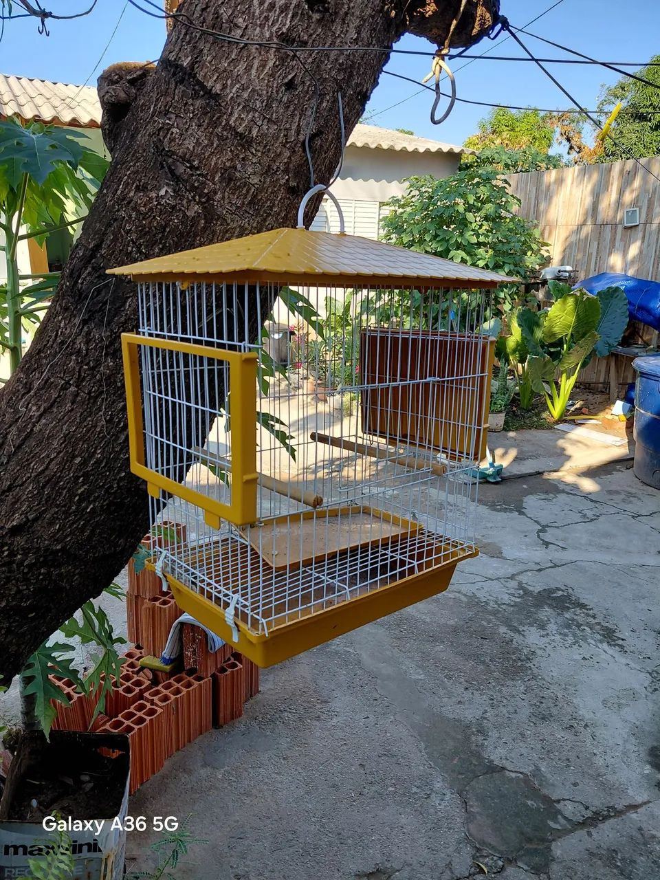 Gaiola de passarinho 