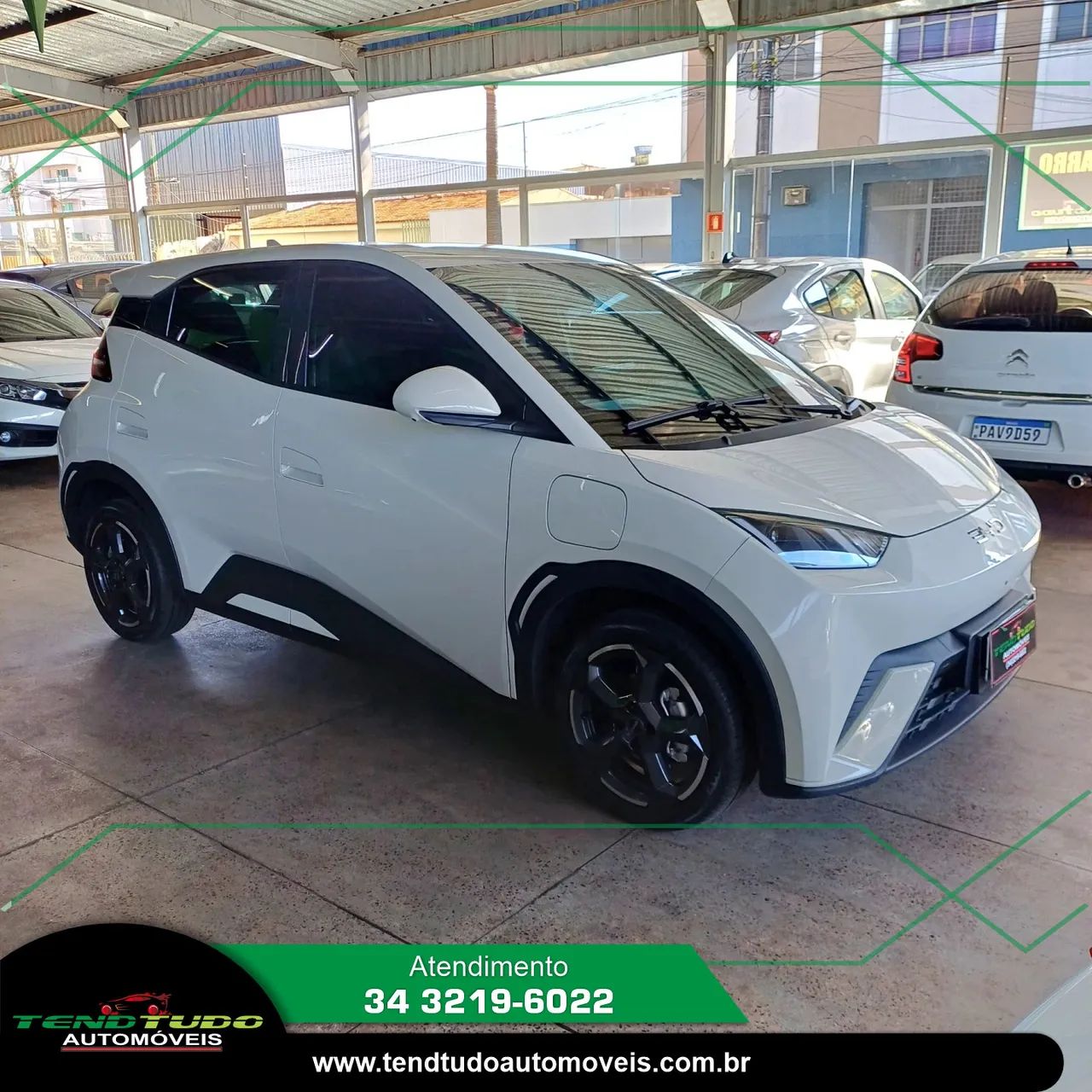 BYD Dolphin Mini (Elétrico) 2025 - Foto 2