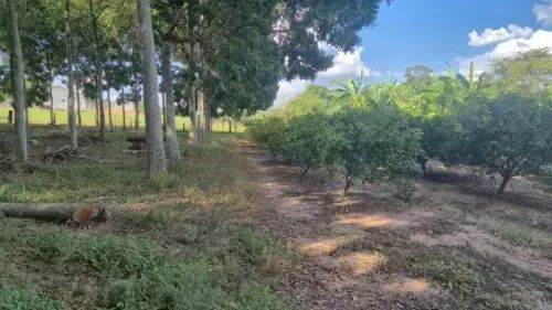 Propriedade com dois hectares - Foto 3