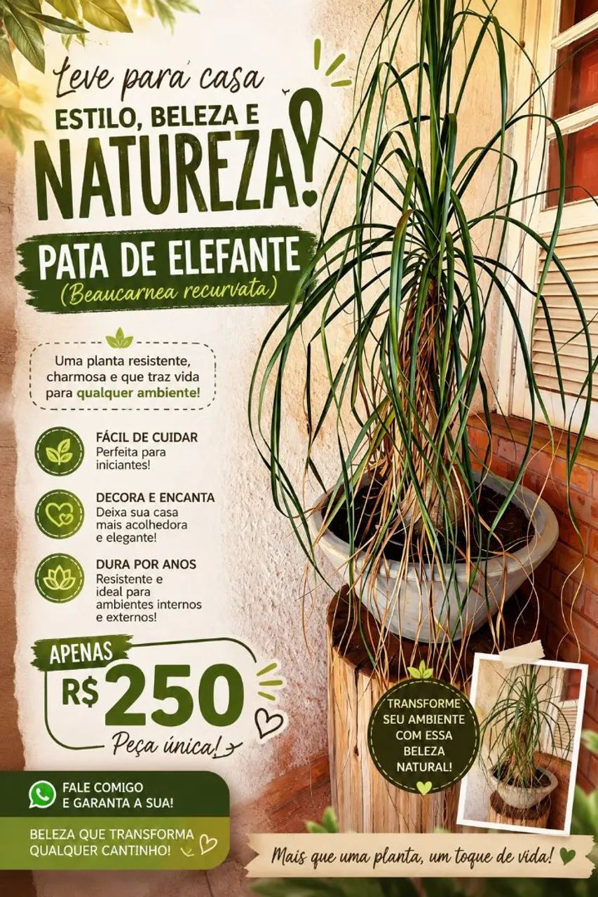 Pata de elefante 