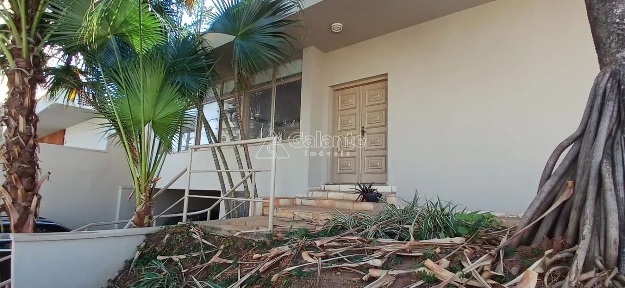 casa - Nova Campinas - Campinas - Foto 3