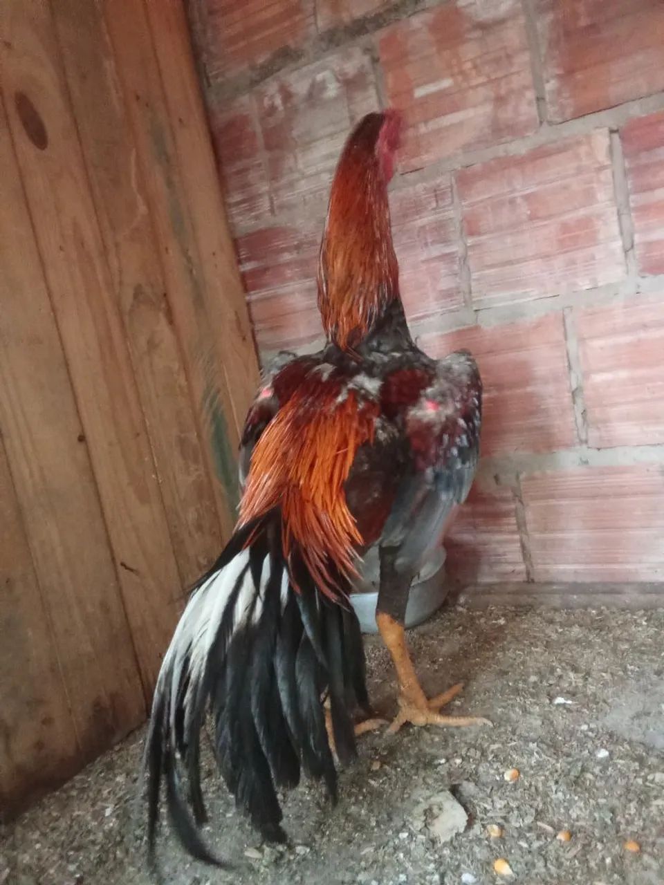 Vendo