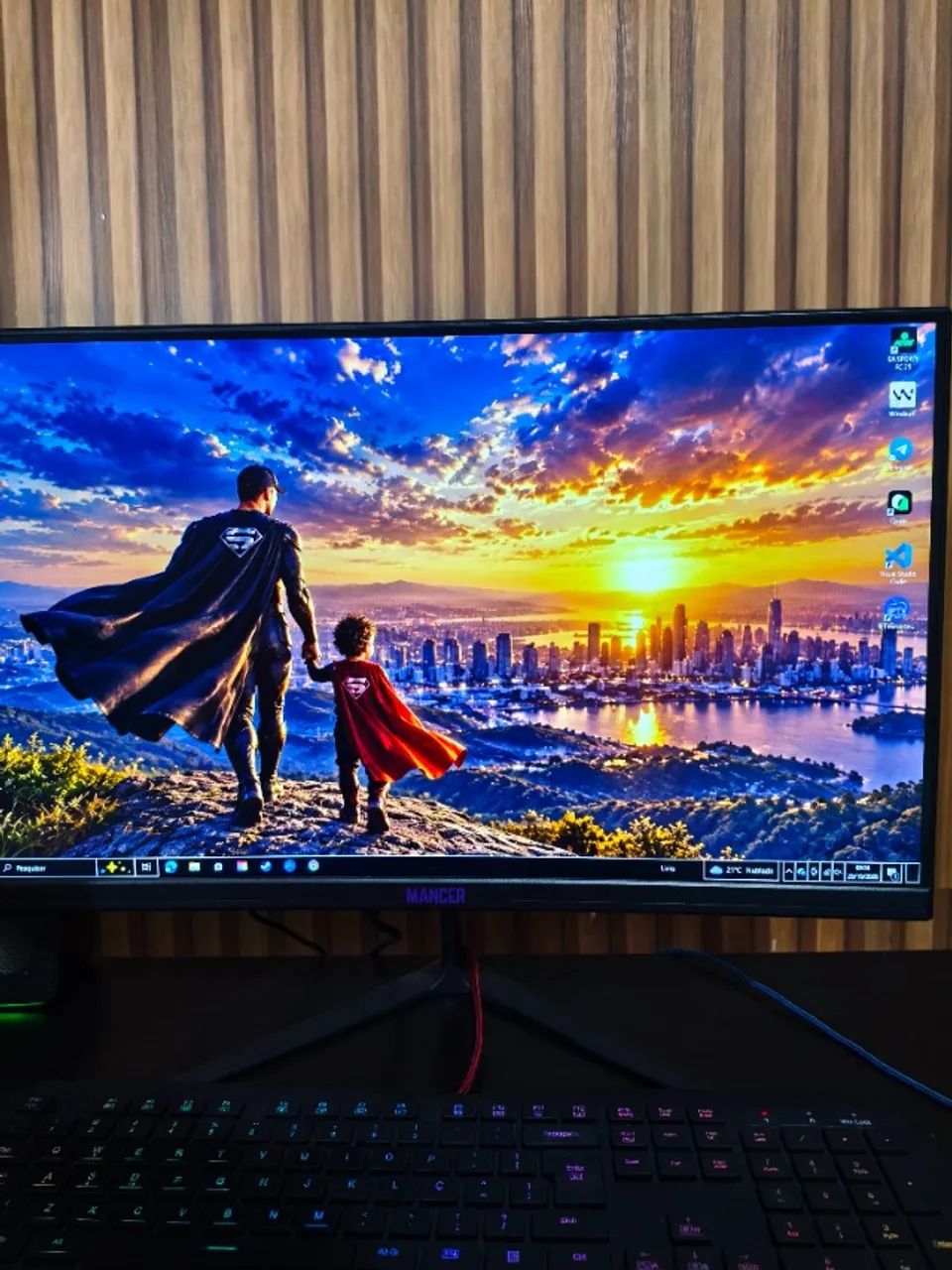 Monitor 